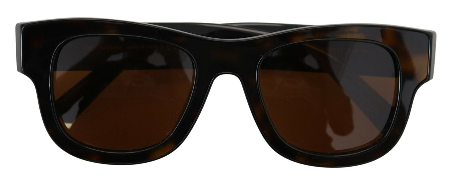 Dolce & Gabbana Chic Brown Acetate Sunglasses