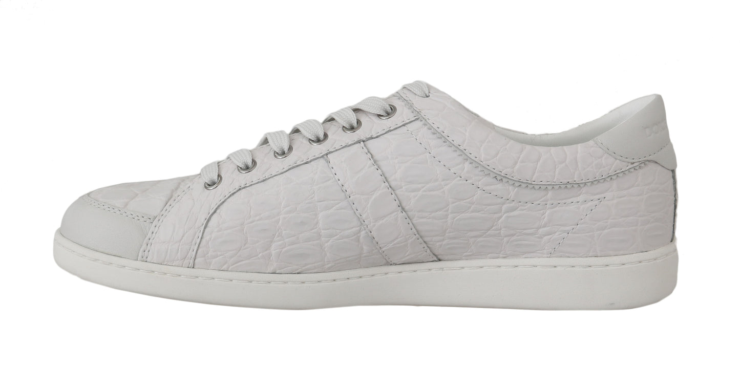 Dolce & Gabbana Exquisite White Caiman Crocodile Sneakers